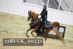 22BUCK_00451 proof