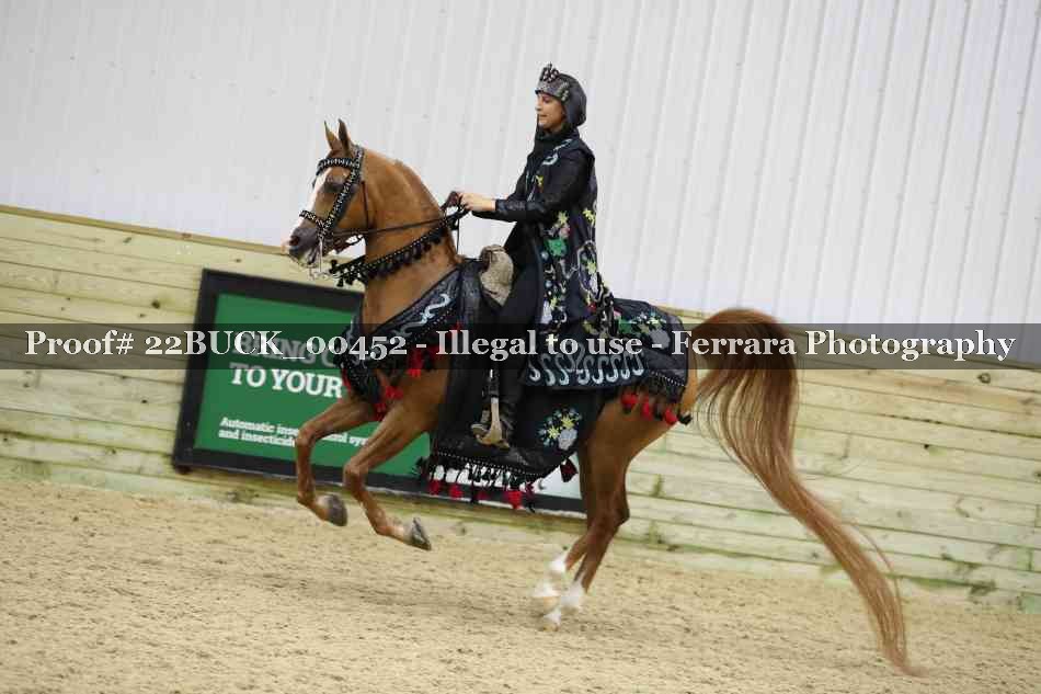 Proof 22BUCK_00452