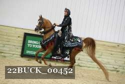 22BUCK_00452 proof