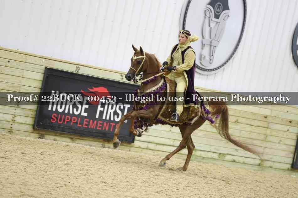 Proof 22BUCK_00453