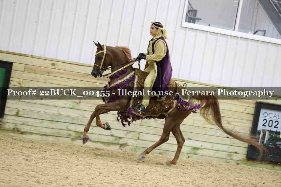 Proof 22BUCK_00455