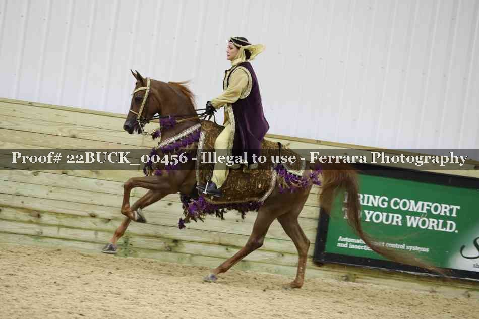 Proof 22BUCK_00456