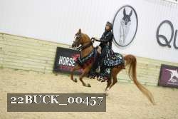 22BUCK_00457 proof