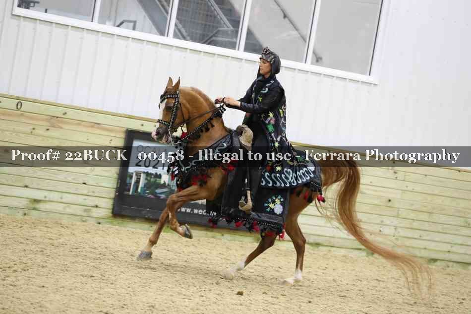 Proof 22BUCK_00458