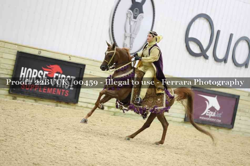 Proof 22BUCK_00459