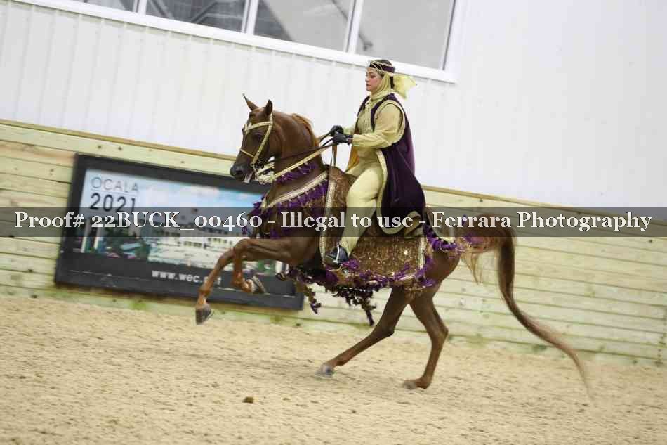 Proof 22BUCK_00460