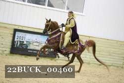 22BUCK_00460 proof