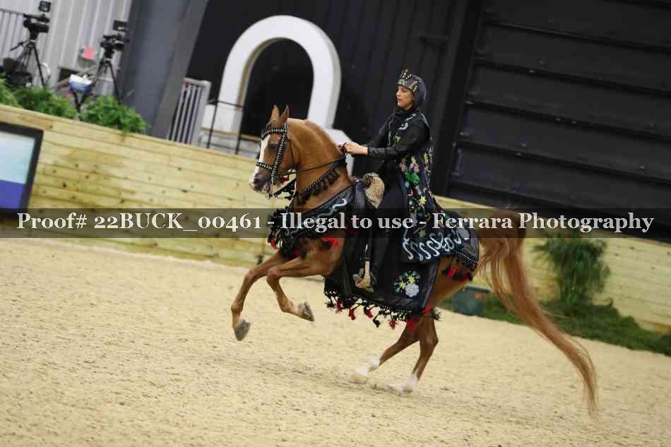 Proof 22BUCK_00461