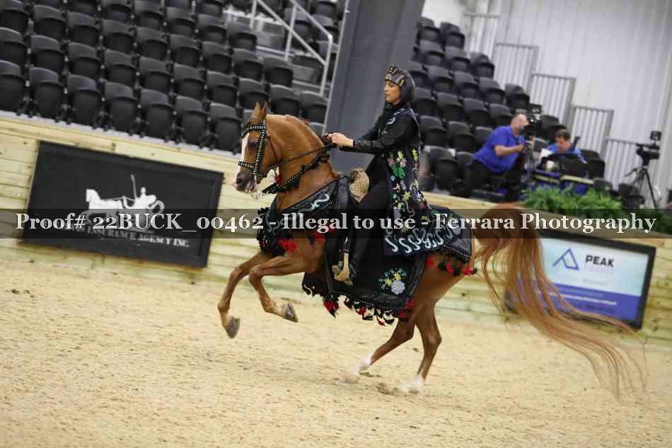 Proof 22BUCK_00462