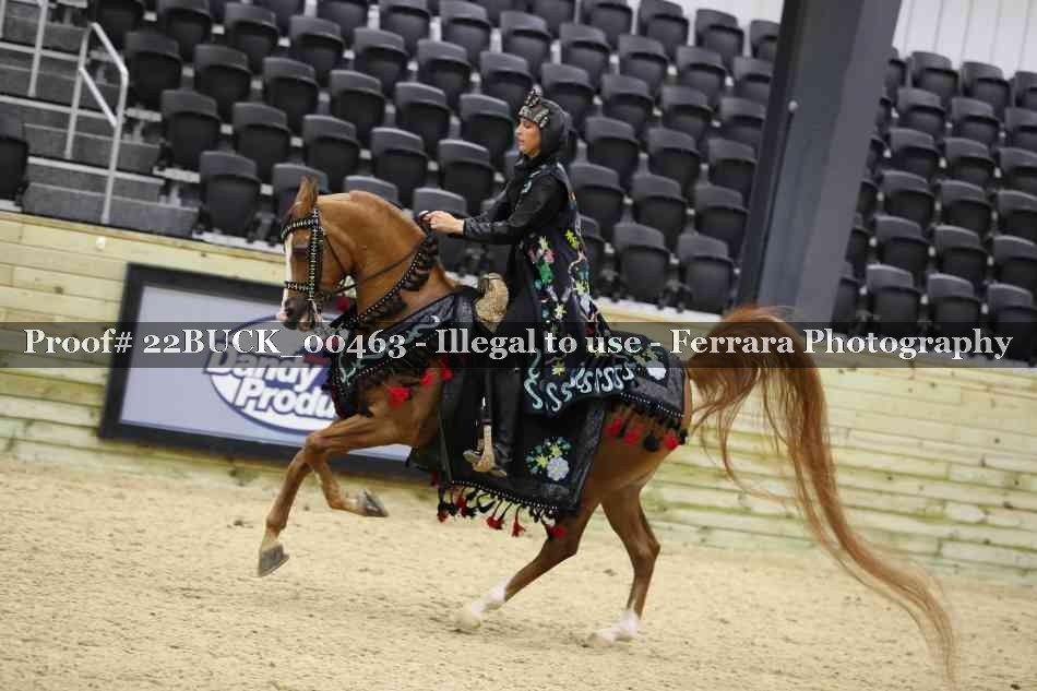 Proof 22BUCK_00463