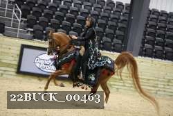 22BUCK_00463 proof