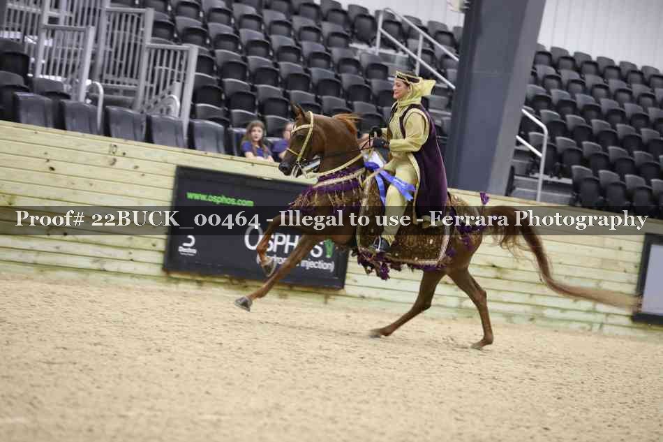 Proof 22BUCK_00464