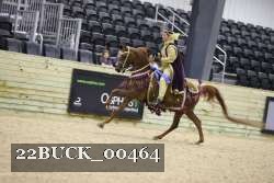 22BUCK_00464 proof