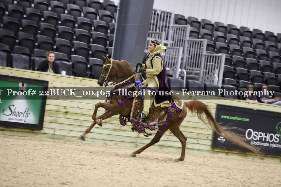 Proof 22BUCK_00465