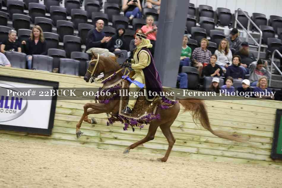 Proof 22BUCK_00466