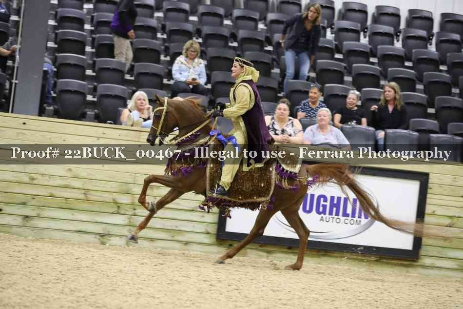 Proof 22BUCK_00467