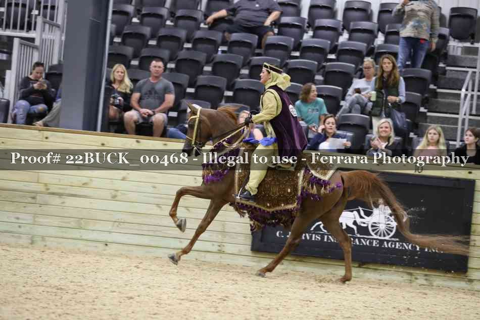 Proof 22BUCK_00468