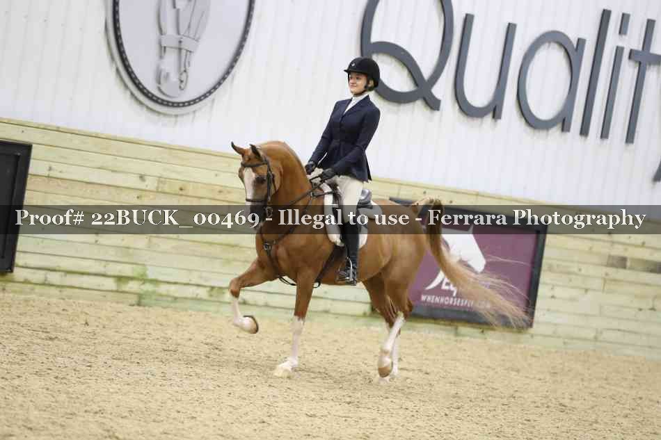 Proof 22BUCK_00469