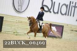 22BUCK_00469 proof