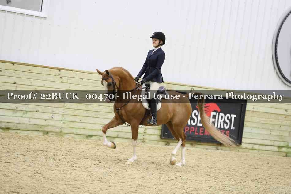 Proof 22BUCK_00470