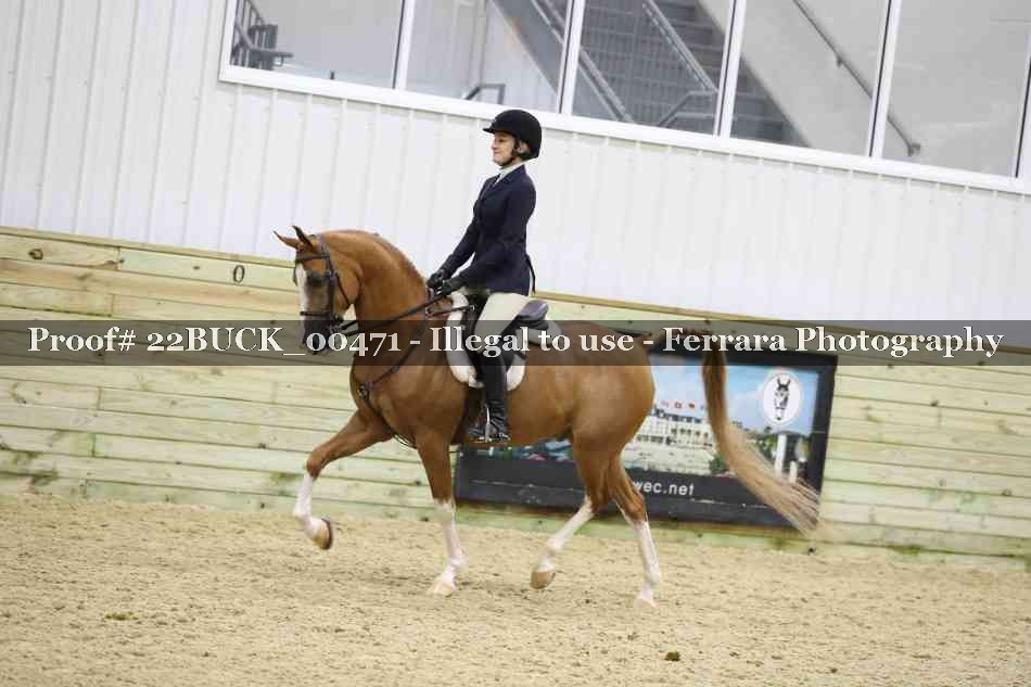 Proof 22BUCK_00471