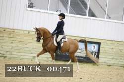 22BUCK_00471 proof