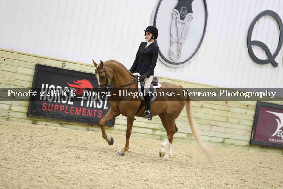 Proof 22BUCK_00472