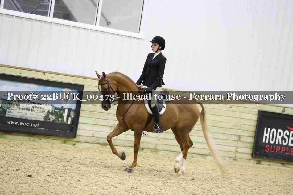 Proof 22BUCK_00473