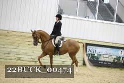 22BUCK_00474 proof