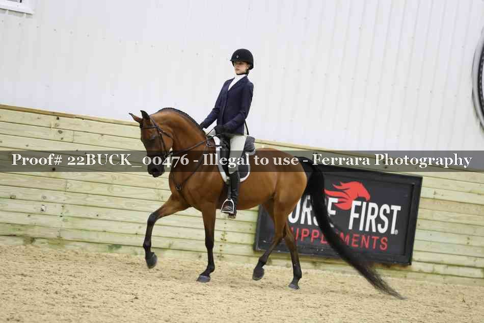 Proof 22BUCK_00476