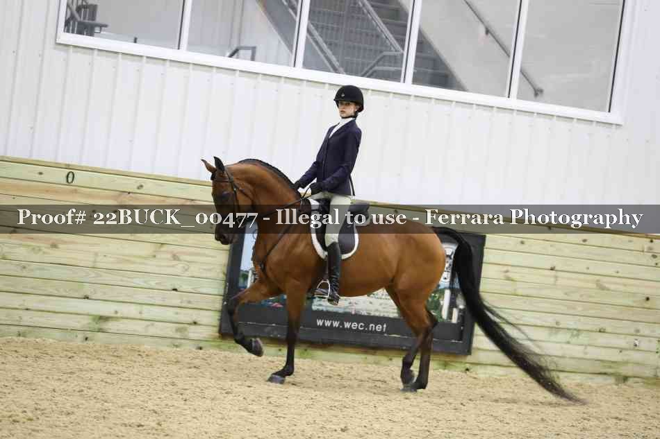 Proof 22BUCK_00477