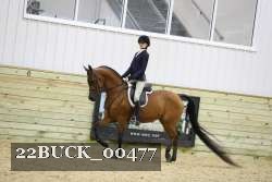 22BUCK_00477 proof