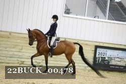 22BUCK_00478 proof