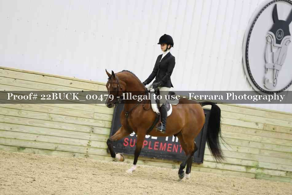 Proof 22BUCK_00479