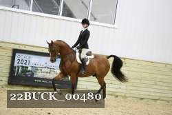 22BUCK_00480 proof