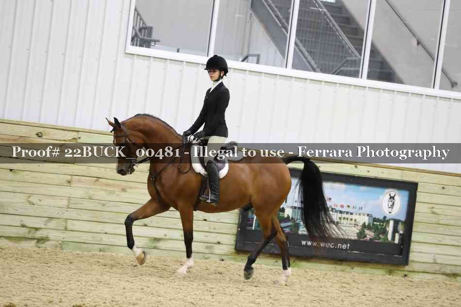Proof 22BUCK_00481