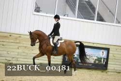 22BUCK_00481 proof