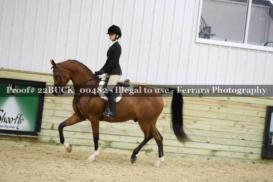 Proof 22BUCK_00482