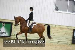 22BUCK_00482 proof