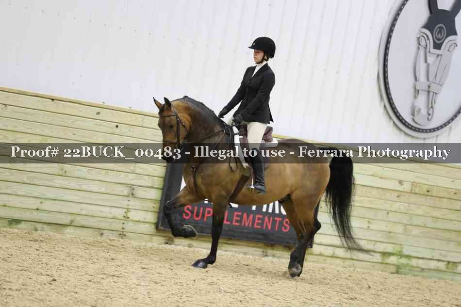 Proof 22BUCK_00483
