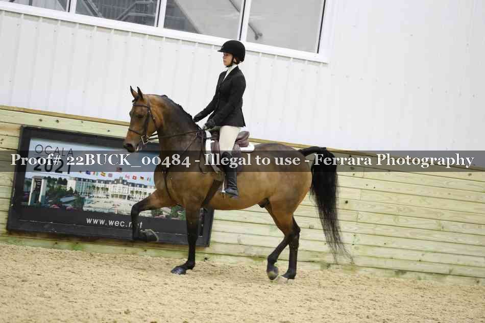 Proof 22BUCK_00484