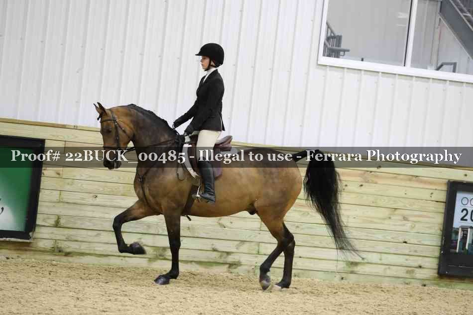 Proof 22BUCK_00485