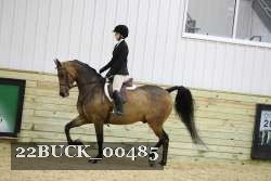 22BUCK_00485 proof