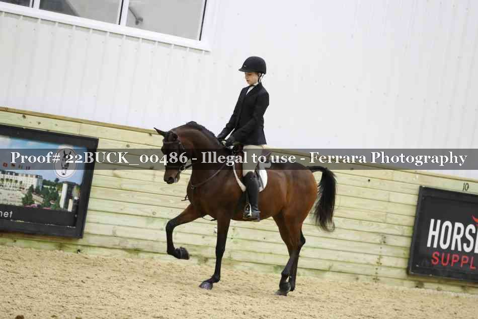 Proof 22BUCK_00486