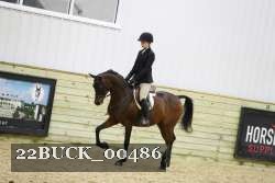 22BUCK_00486 proof