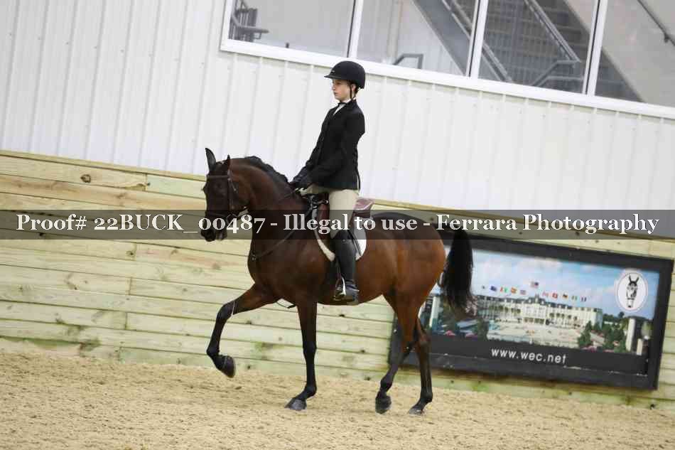Proof 22BUCK_00487