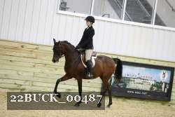 22BUCK_00487 proof