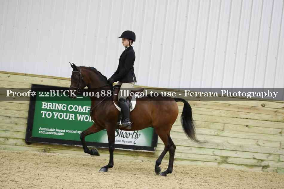 Proof 22BUCK_00488
