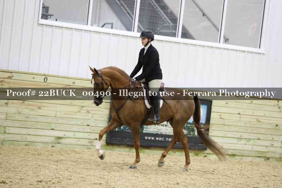 Proof 22BUCK_00490