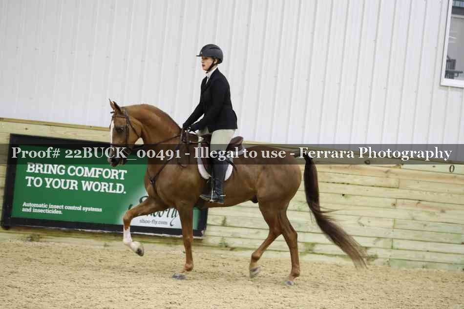 Proof 22BUCK_00491